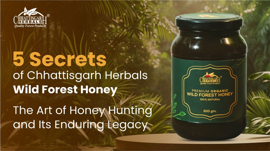 5 Secrets of Chhattisgarh Herbals Wild Forest Honey: The Art of Honey Hunting and Its Enduring Legacy