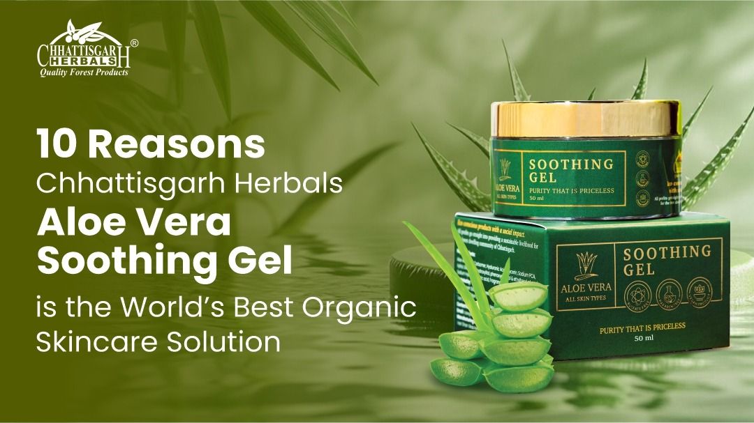 10 Reasons Chhattisgarh Herbals Aloe Vera Soothing Gel is the World’s Best Organic Skincare Solution