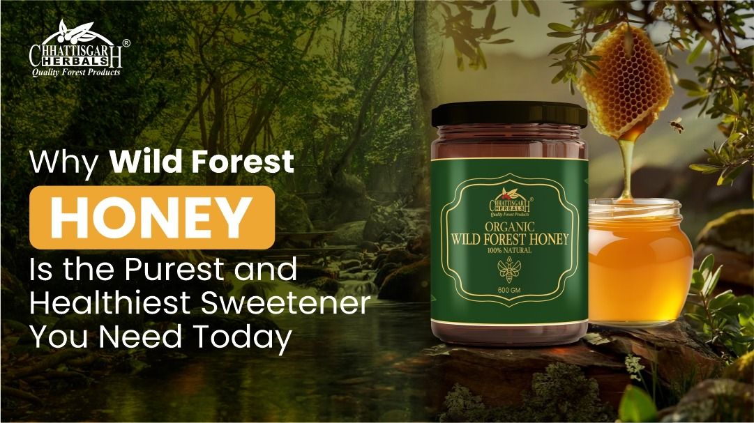 Why Wild Forest Honey is the Purest and Healthiest Sweetener You Need Today