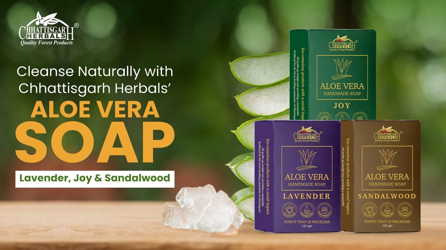 Cleanse Naturally with Chhattisgarh Herbals’ Aloe Vera Soap – Lavender, Joy & Sandalwood, Shop Now!