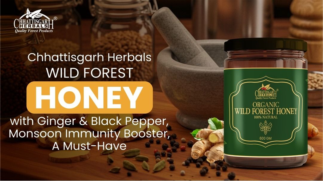 Chhattisgarh Herbals Wild Forest Honey with Ginger & Black Pepper, Monsoon Immunity Booster, A Must-Have - Buy Now!