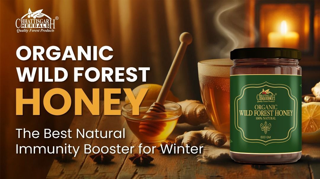 Organic Wild Forest Honey: The Best Natural Immunity Booster for Winter