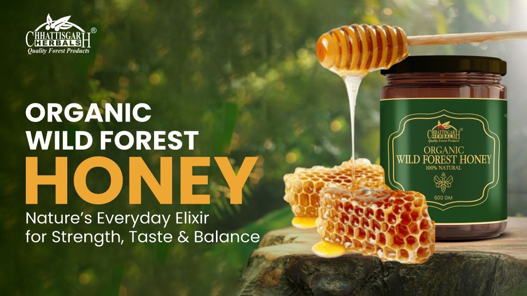 Organic Wild Forest Honey Nature’s Everyday Elixir for Strength, Taste & Balance