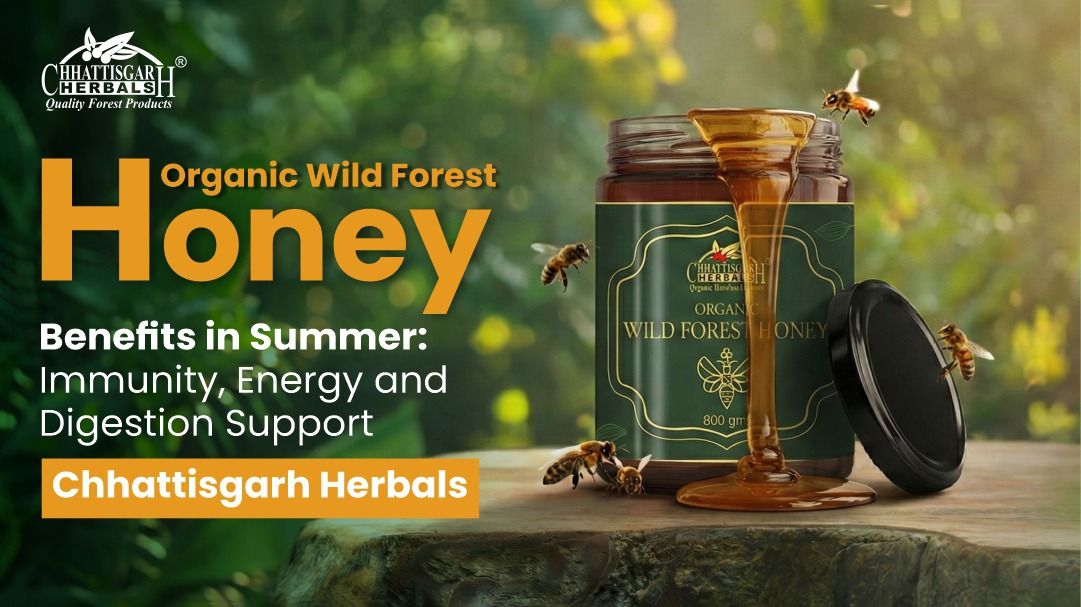Organic Wild Forest Honey Benefits in Summer Immunity, Energy & Digestion Support