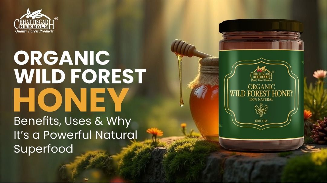 Organic Wild Forest Honey: Benefits, Uses & Why It’s a Powerful Natural Superfood