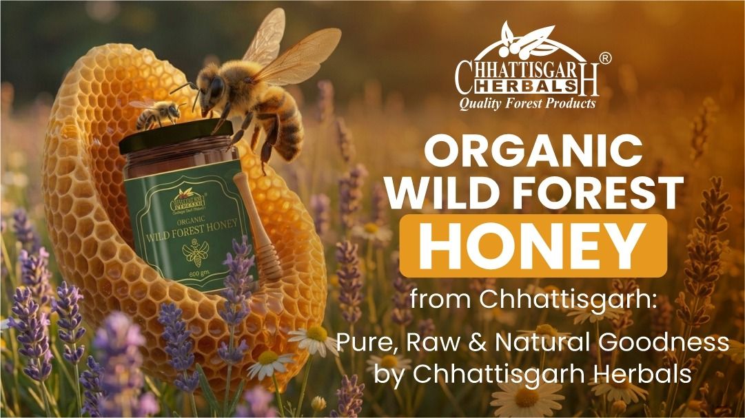 Organic Wild Forest Honey from Chhattisgarh: Pure, Raw & Natural Goodness by Chhattisgarh Herbals