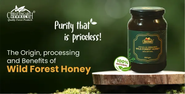 Chhattisgarh Herbals Wild Forest Honey