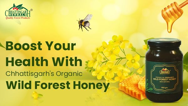 Boost Your Health With Chhattisgarh's Organic Wild Forest Honey