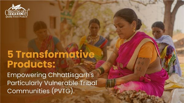 5 Transformative Products: Empowering Chhattisgarh's Particularly Vulnerable Tribal Communities(PVTG)
