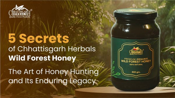 5 Secrets of Chhattisgarh Herbals Wild Forest Honey: The Art of Honey Hunting and Its Enduring Legacy