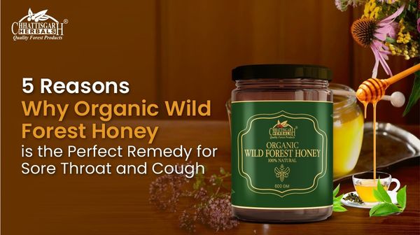 5 Reasons Why Organic Wild Forest Honey is the Perfect Remedy for Sore Throat and Cough