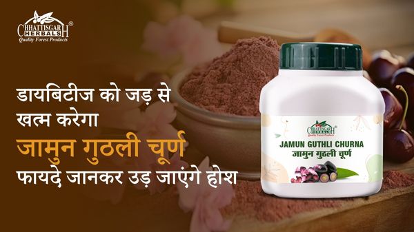 Jamun Guthli Churna Benefits: डायबिटीज को जड़ से खत्म करेगा जामुन गुठली चूर्ण, फायदे जानकर उड़ जाएंगे होश