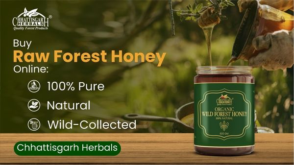 Buy Raw Forest Honey Online – 100% Pure, Natural & Wild-Collected | Chhattisgarh Herbals