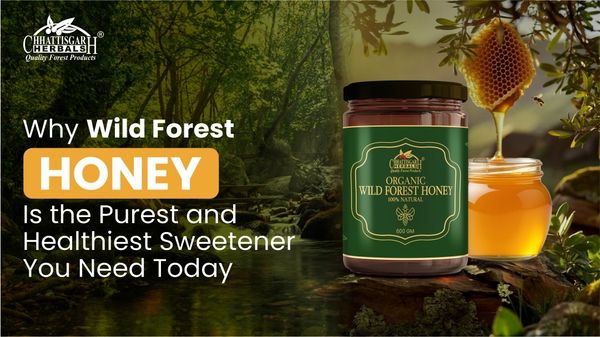 Why Wild Forest Honey is the Purest and Healthiest Sweetener You Need Today