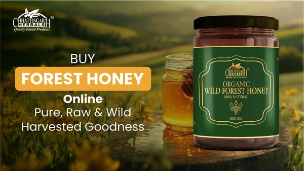 Buy Forest Honey Online - Pure, Raw & Wild-Harvested Goodness