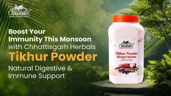 Boost Your Immunity This Monsoon with Chhattisgarh Herbals’ Tikhur Powder – Natural Digestive & Immune Support, Buy Now!