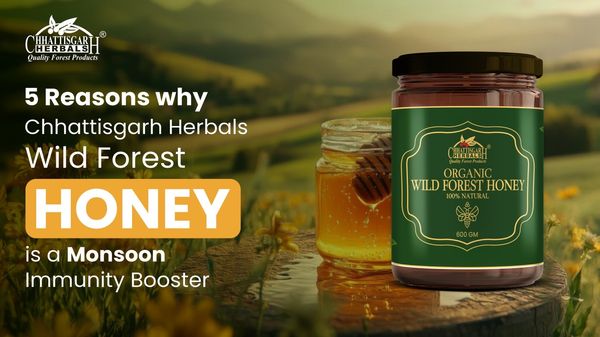 5 Reasons why Chhattisgarh Herbals Wild Forest Honey is a  Monsoon Immunity Booster  – Buy Now!