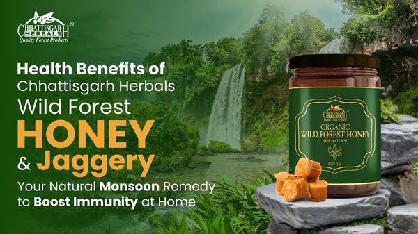 Health Benefits of Chhattisgarh Herbals’ Wild Forest Honey & Jaggery – Your Natural Monsoon Remedy to Boost Immunity at Home