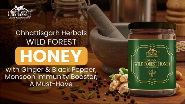 Chhattisgarh Herbals Wild Forest Honey with Ginger & Black Pepper, Monsoon Immunity Booster, A Must-Have - Buy Now!