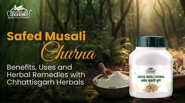Safed Musali Churna: Benefits, Uses, and Herbal Remedies with Chhattisgarh Herbals