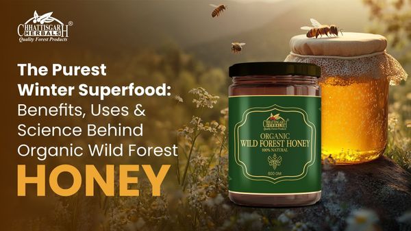 The Purest Winter Superfood: Benefits, Uses & Science Behind Organic Wild Forest Honey