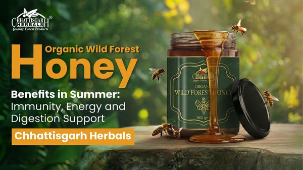 Organic Wild Forest Honey Benefits in Summer Immunity, Energy & Digestion Support