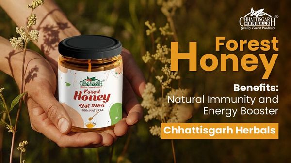 Forest Honey Benefits Natural Immunity & Energy Booster