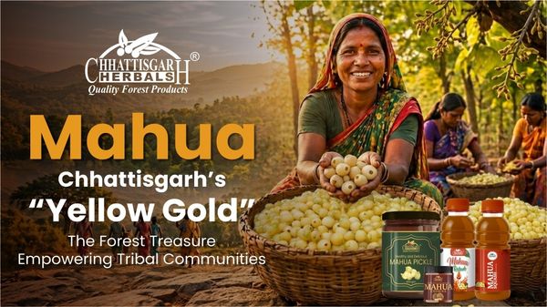 Mahua: Chhattisgarh’s “Yellow Gold” – The Forest Treasure Empowering Tribal Communities