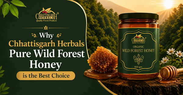 Original Honey: Why Chhattisgarh Herbals Pure Wild Forest Honey is the Best Choice