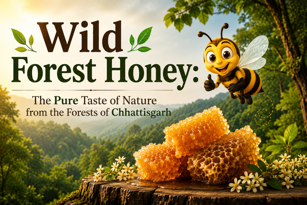 Wild Forest Honey: The Pure Taste of Nature from the Forests of Chhattisgarh