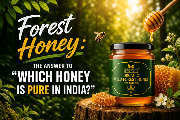 Forest Honey: The Answer to “Which Honey is Pure in India?”