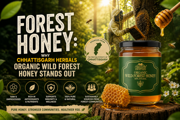 Forest Honey: Why Chhattisgarh Herbals Organic Wild Forest Honey Stands Out